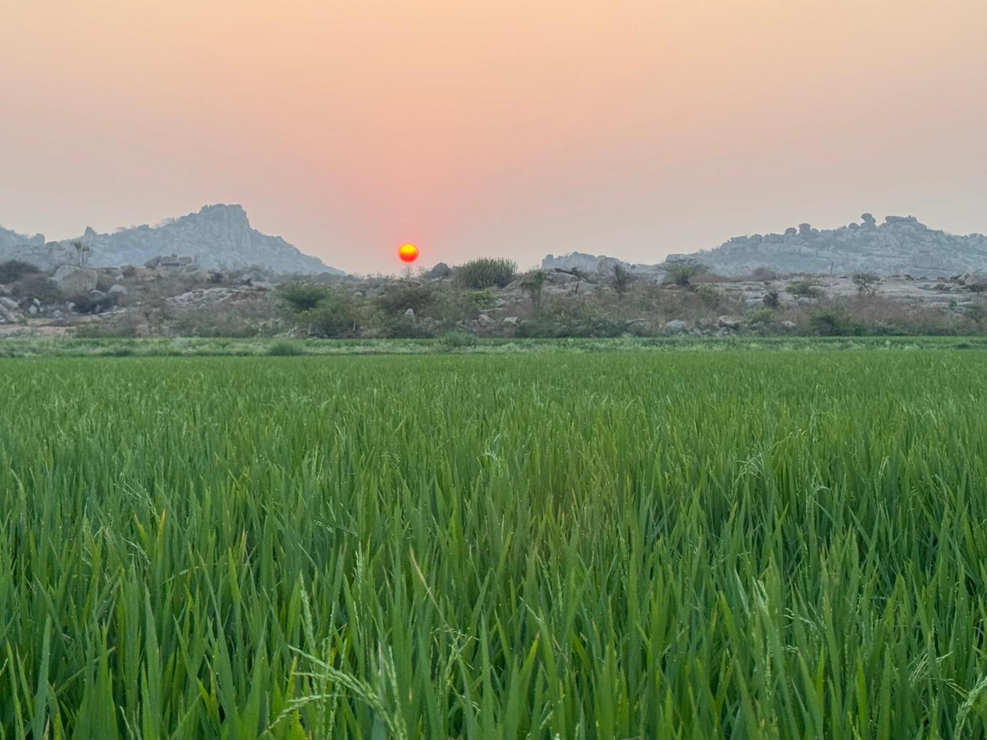 Hotel Hill Stone View Hampi Exterior foto