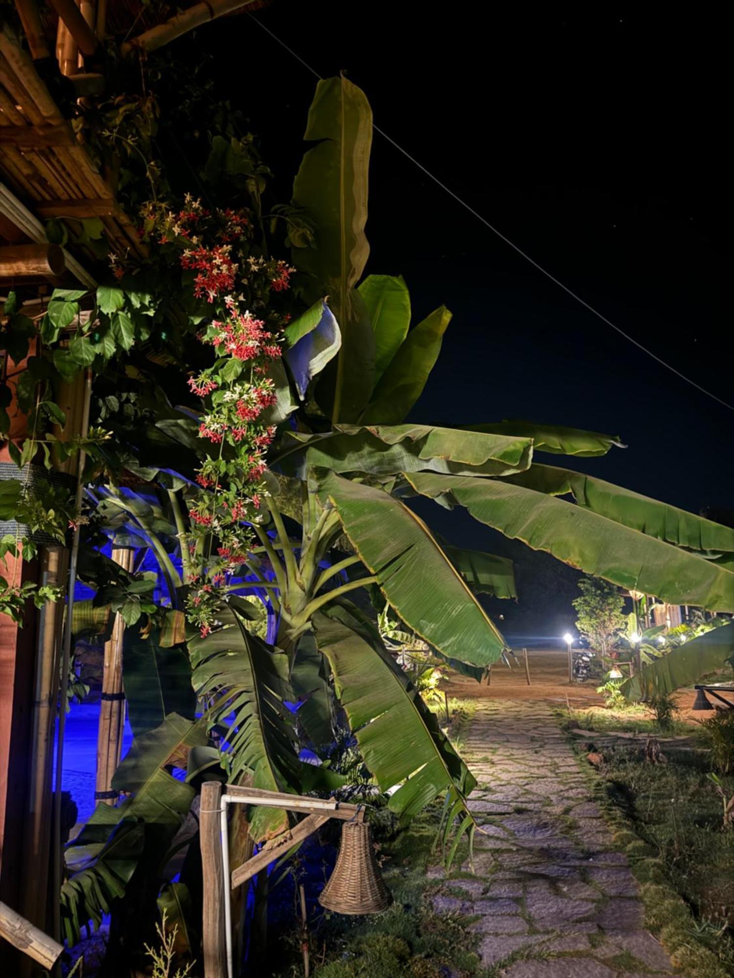 Hotel Hill Stone View Hampi Exterior foto